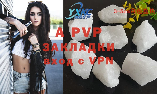 стафф Алзамай