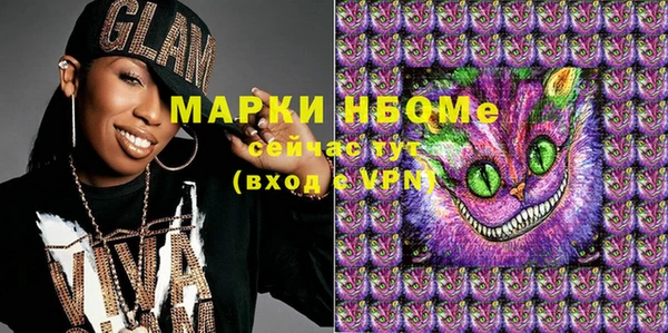хмурый Абаза