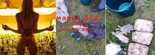хмурый Абаза