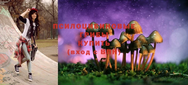 стафф Алзамай